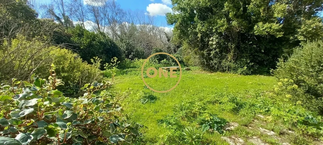 Quinta T9 para Venda em Torres Novas (São Pedro), Lapas e Ribeira Branca Foto 42