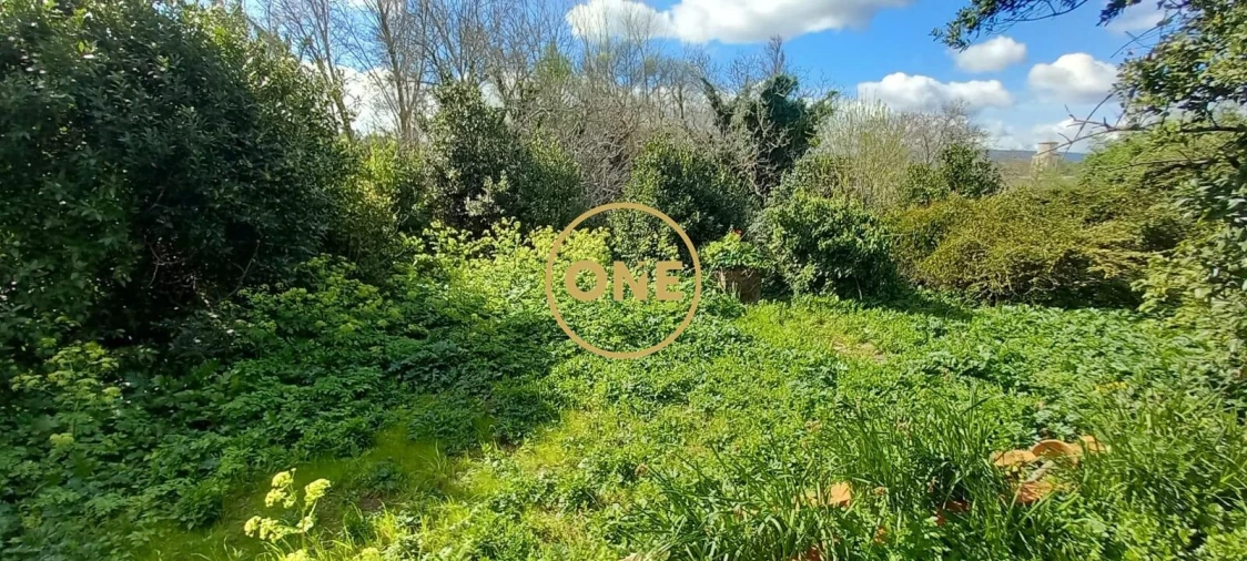 Quinta T9 para Venda em Torres Novas (São Pedro), Lapas e Ribeira Branca Foto 38