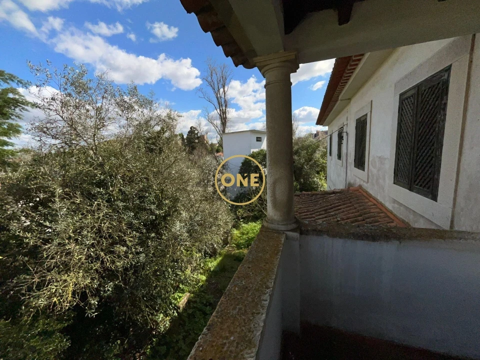 Quinta T9 para Venda em Torres Novas (São Pedro), Lapas e Ribeira Branca Foto 2