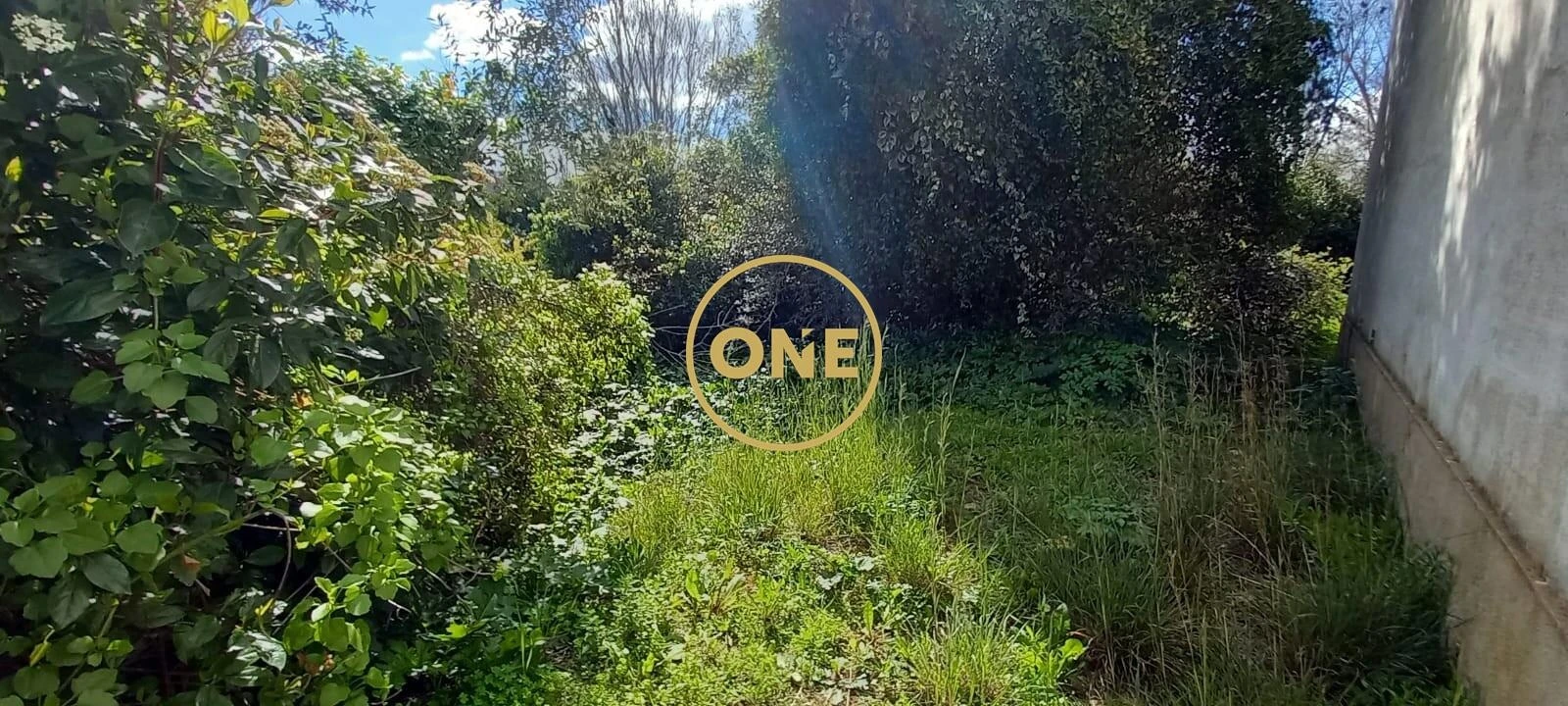 Quinta T9 para Venda em Torres Novas (São Pedro), Lapas e Ribeira Branca Foto 41