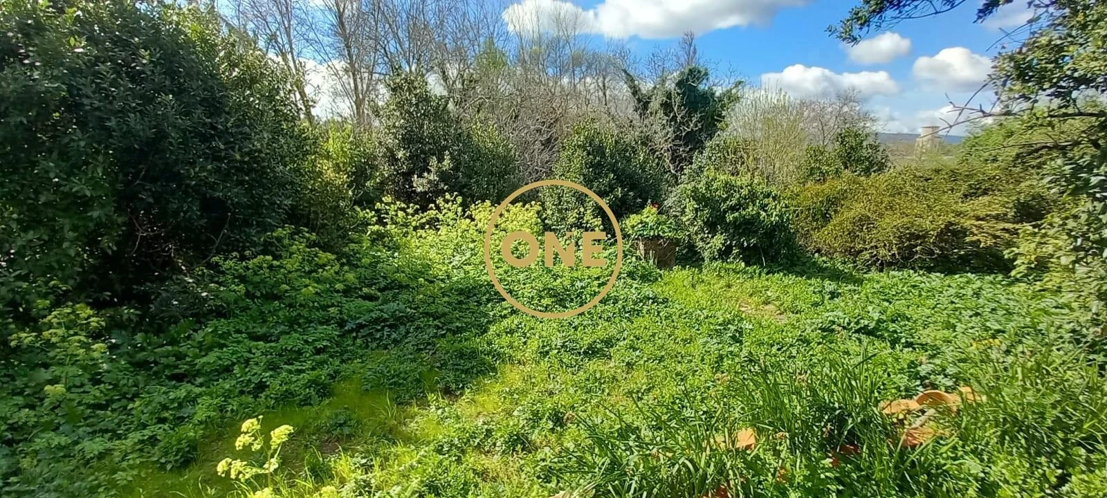 Quinta T9 para Venda em Torres Novas (São Pedro), Lapas e Ribeira Branca Foto 38