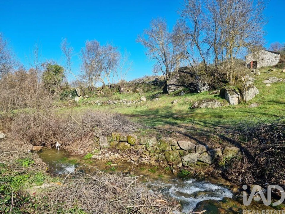 Moradia para Venda em São Pedro e Santa Maria e Vila Boa do Mondego Foto 6