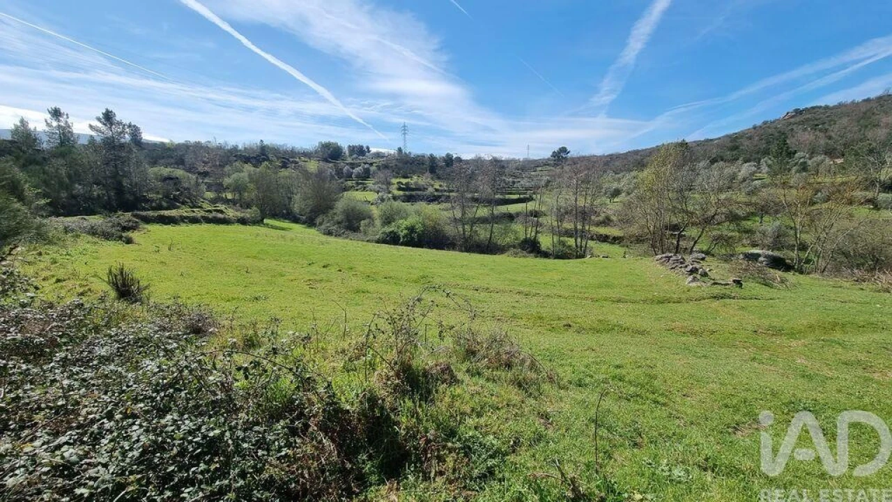 Moradia para Venda em São Pedro e Santa Maria e Vila Boa do Mondego Foto 10
