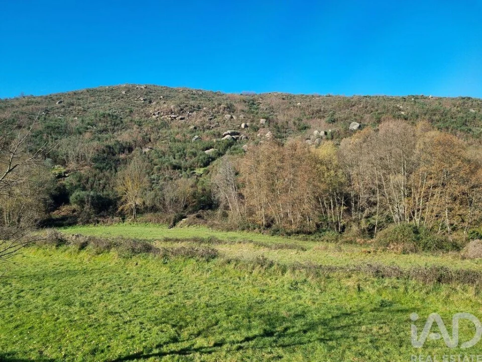 Moradia para Venda em São Pedro e Santa Maria e Vila Boa do Mondego Foto 22