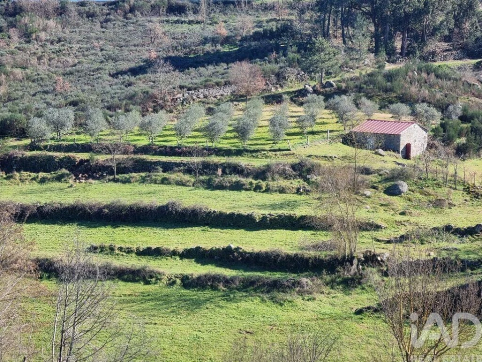 Moradia para Venda em São Pedro e Santa Maria e Vila Boa do Mondego Foto 19