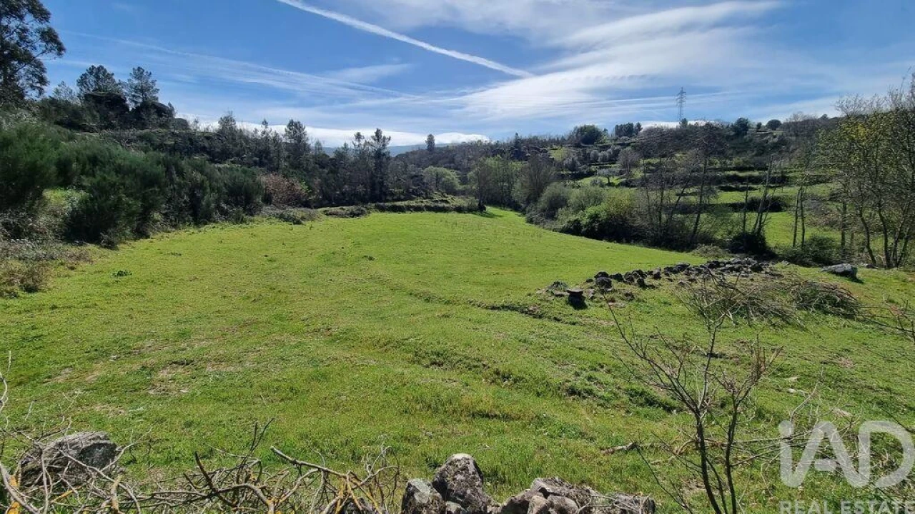 Moradia para Venda em São Pedro e Santa Maria e Vila Boa do Mondego Foto 9