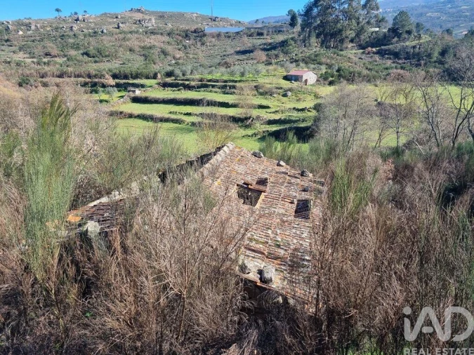 Moradia para Venda em São Pedro e Santa Maria e Vila Boa do Mondego Foto 23
