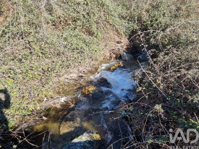 Moradia para Venda em São Pedro e Santa Maria e Vila Boa do Mondego Foto 18