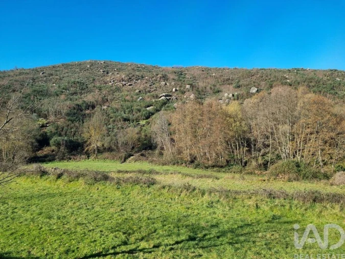 Moradia para Venda em São Pedro e Santa Maria e Vila Boa do Mondego Foto 22
