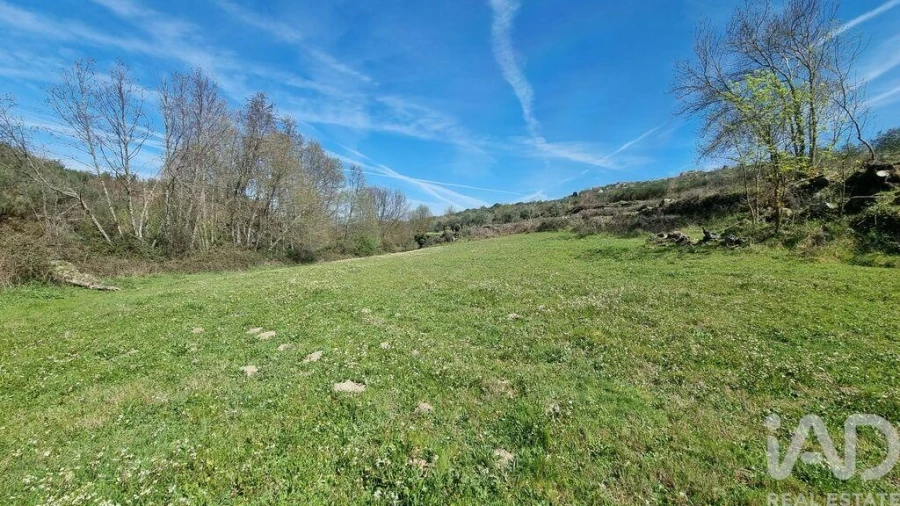 Moradia para Venda em São Pedro e Santa Maria e Vila Boa do Mondego Foto 16