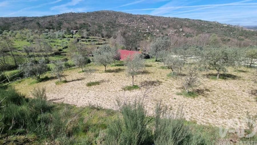 Moradia para Venda em São Pedro e Santa Maria e Vila Boa do Mondego Foto 3