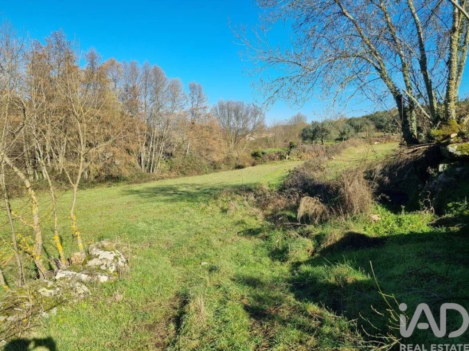 Moradia para Venda em São Pedro e Santa Maria e Vila Boa do Mondego Foto 21