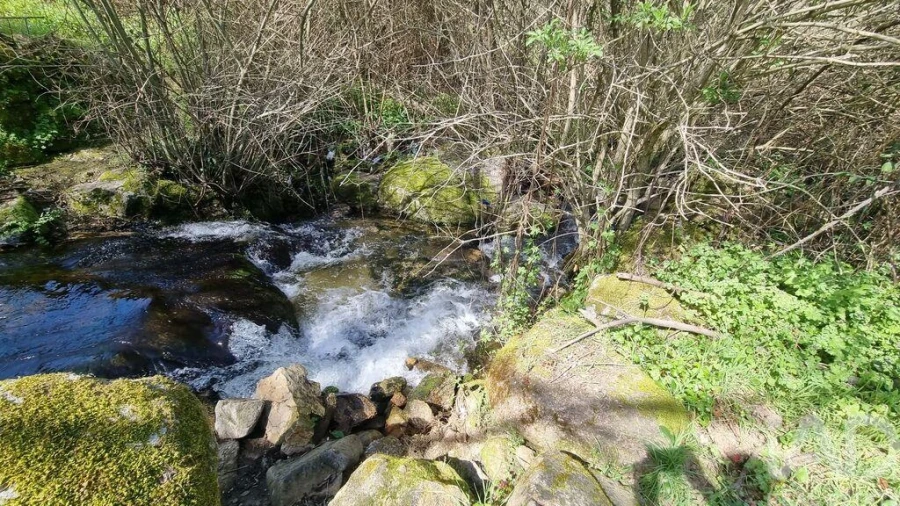 Moradia para Venda em São Pedro e Santa Maria e Vila Boa do Mondego Foto 12
