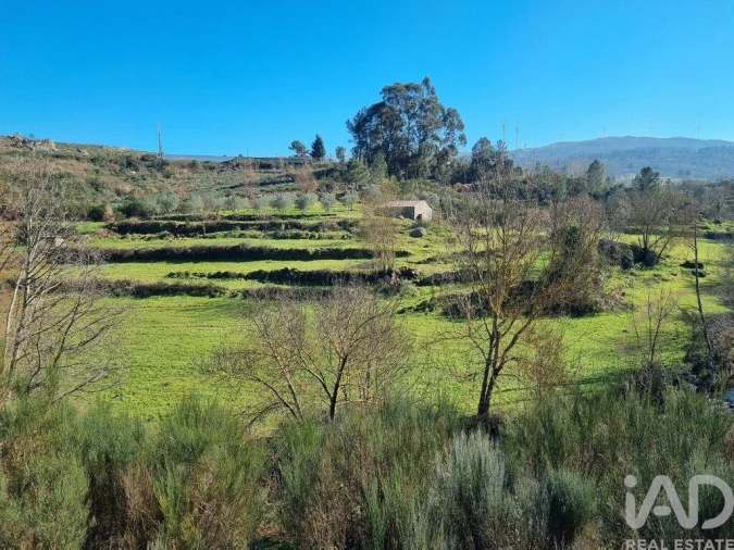 Moradia para Venda em São Pedro e Santa Maria e Vila Boa do Mondego Foto 15
