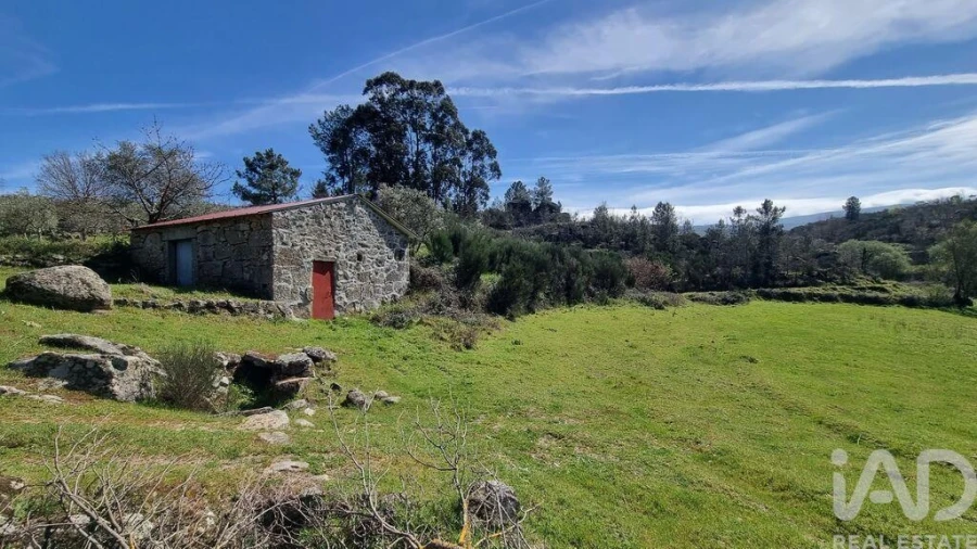 Moradia para Venda em São Pedro e Santa Maria e Vila Boa do Mondego Foto 5