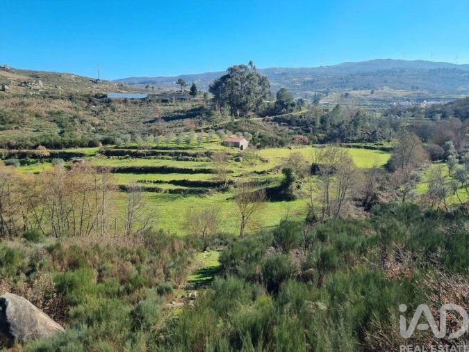 Moradia para Venda em São Pedro e Santa Maria e Vila Boa do Mondego Foto 2
