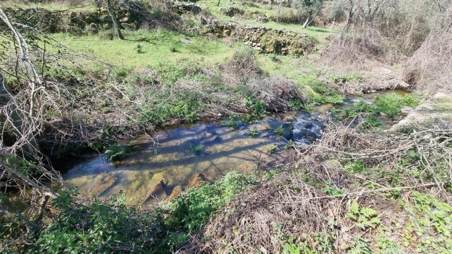 Moradia para Venda em São Pedro e Santa Maria e Vila Boa do Mondego Foto 14