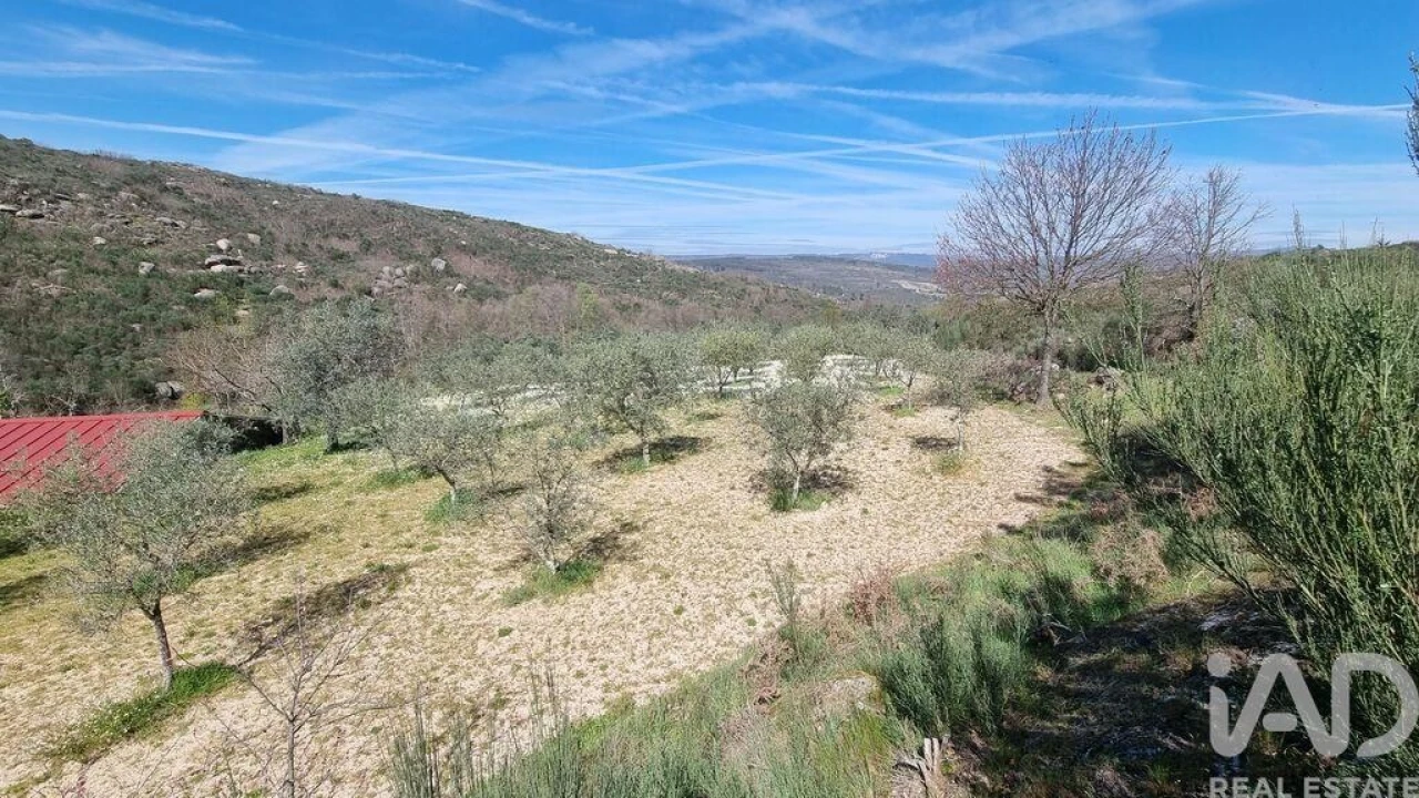 Moradia para Venda em São Pedro e Santa Maria e Vila Boa do Mondego Foto 8