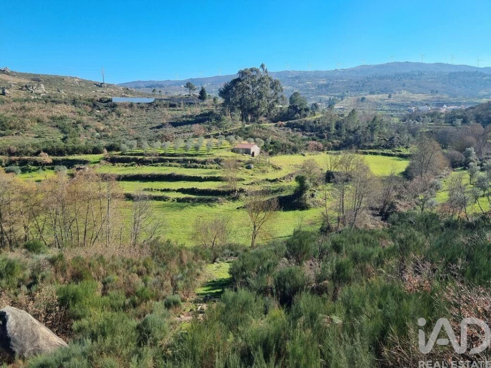 Moradia para Venda em São Pedro e Santa Maria e Vila Boa do Mondego Foto 2