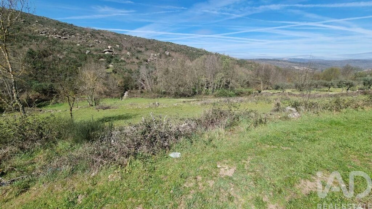 Moradia para Venda em São Pedro e Santa Maria e Vila Boa do Mondego Foto 11