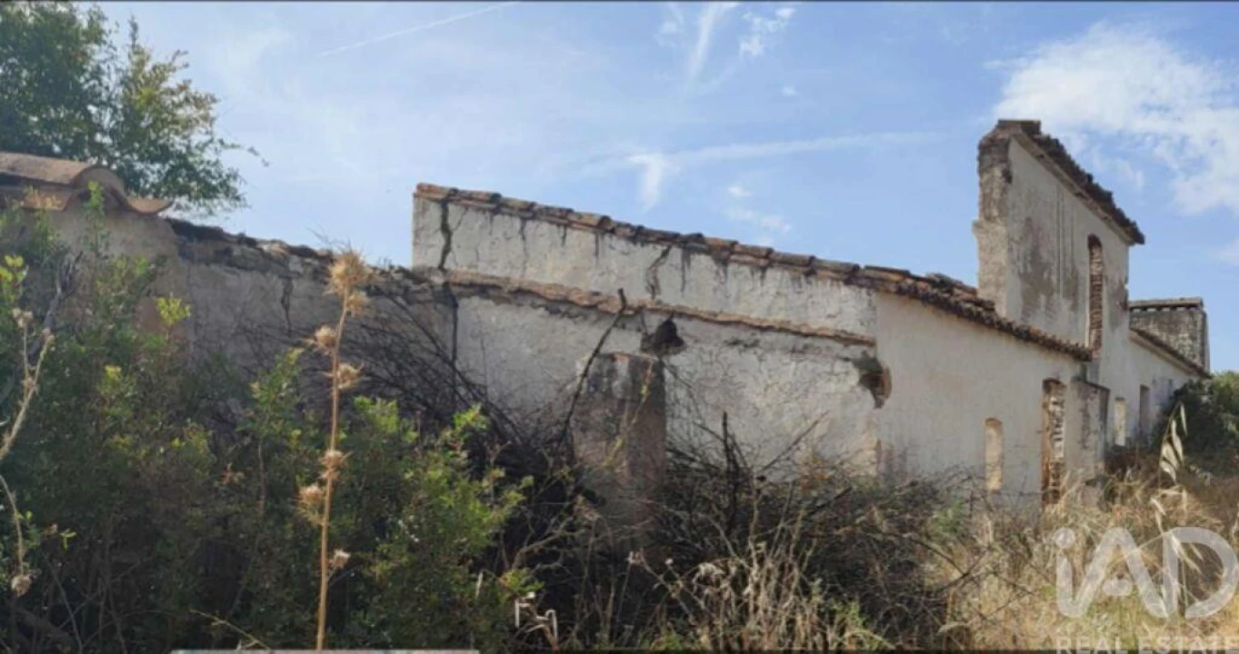 Quinta para Venda em São João Baptista Foto 21