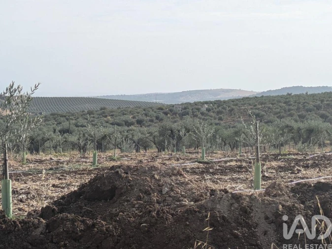 Quinta para Venda em São João Baptista Foto 15
