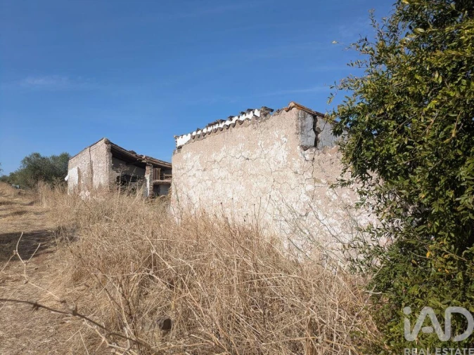 Quinta para Venda em São João Baptista Foto 5