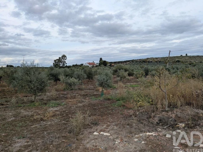 Quinta para Venda em São João Baptista Foto 20
