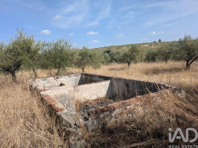 Quinta para Venda em São João Baptista Foto 4