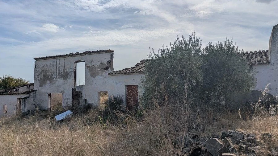 Quinta para Venda em São João Baptista