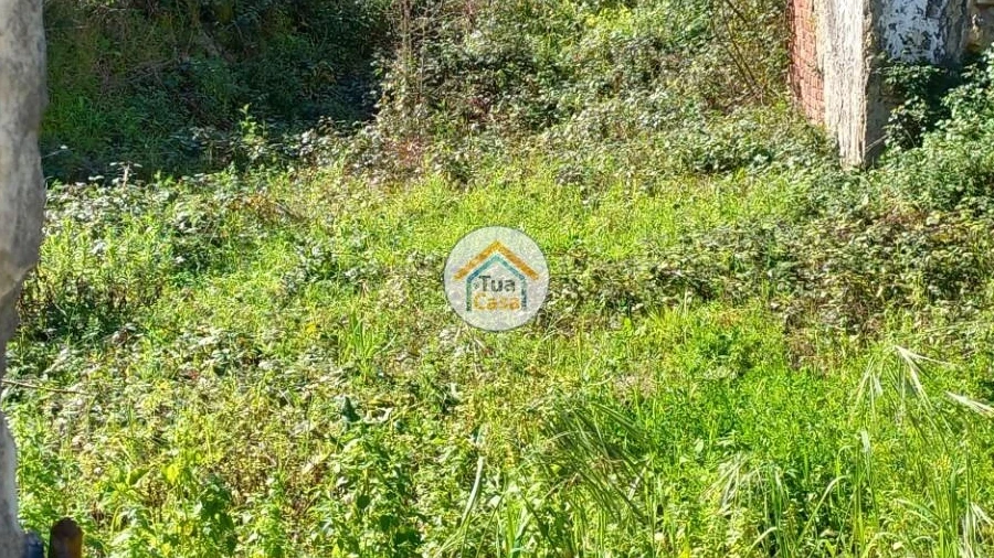 Moradia T2 para Venda em Pampilhosa
