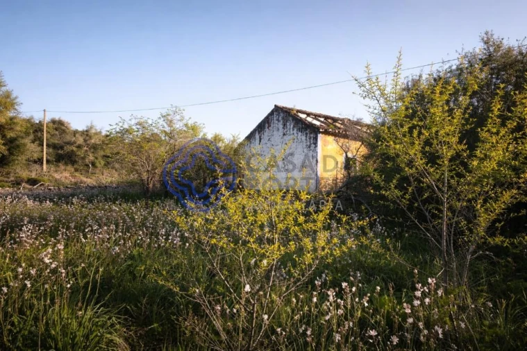 Quinta T5 para Venda em Silves Foto 8