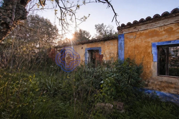 Quinta T5 para Venda em Silves Foto 11