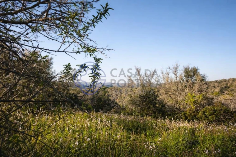 Quinta T5 para Venda em Silves Foto 5