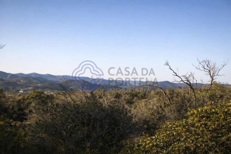 Quinta T5 para Venda em Silves Foto 4