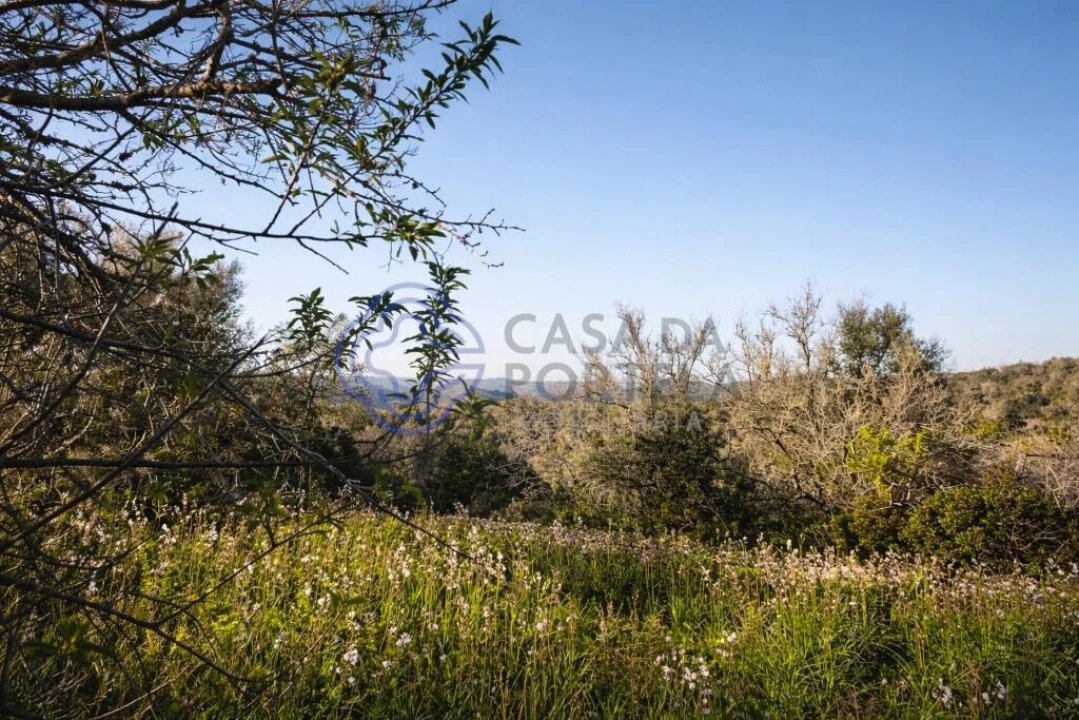 Quinta T5 para Venda em Silves Foto 5