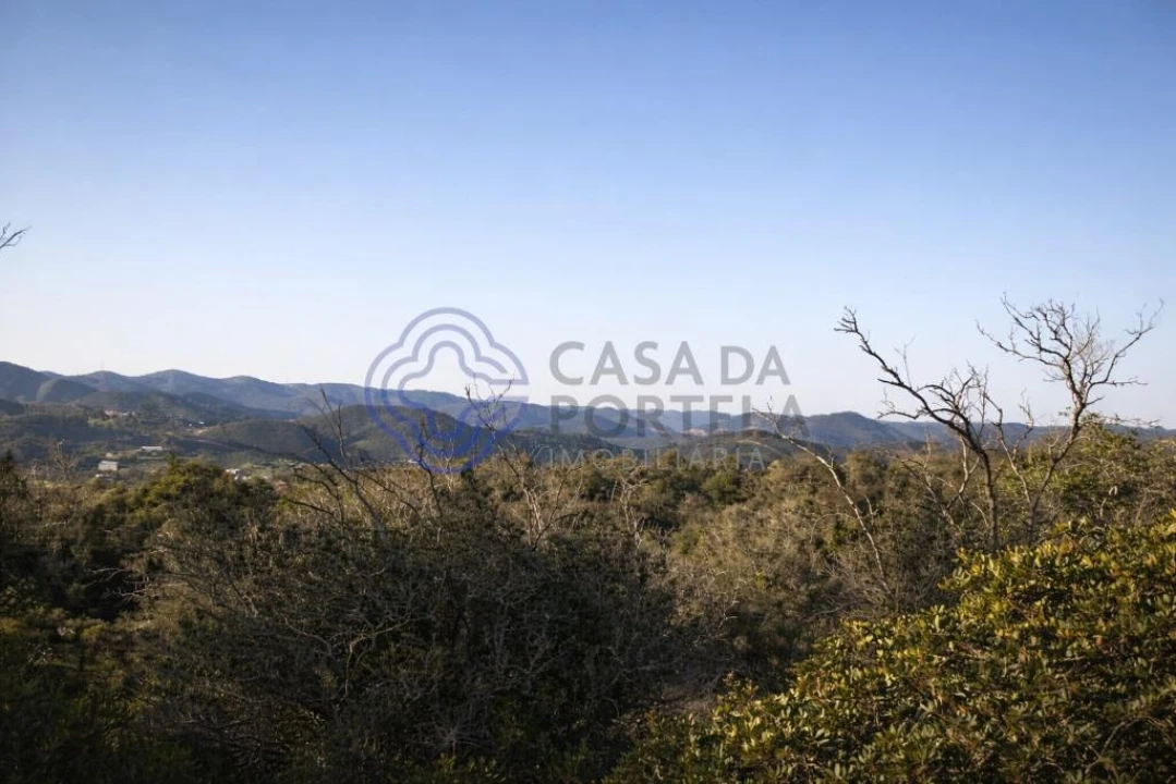 Quinta T5 para Venda em Silves Foto 4