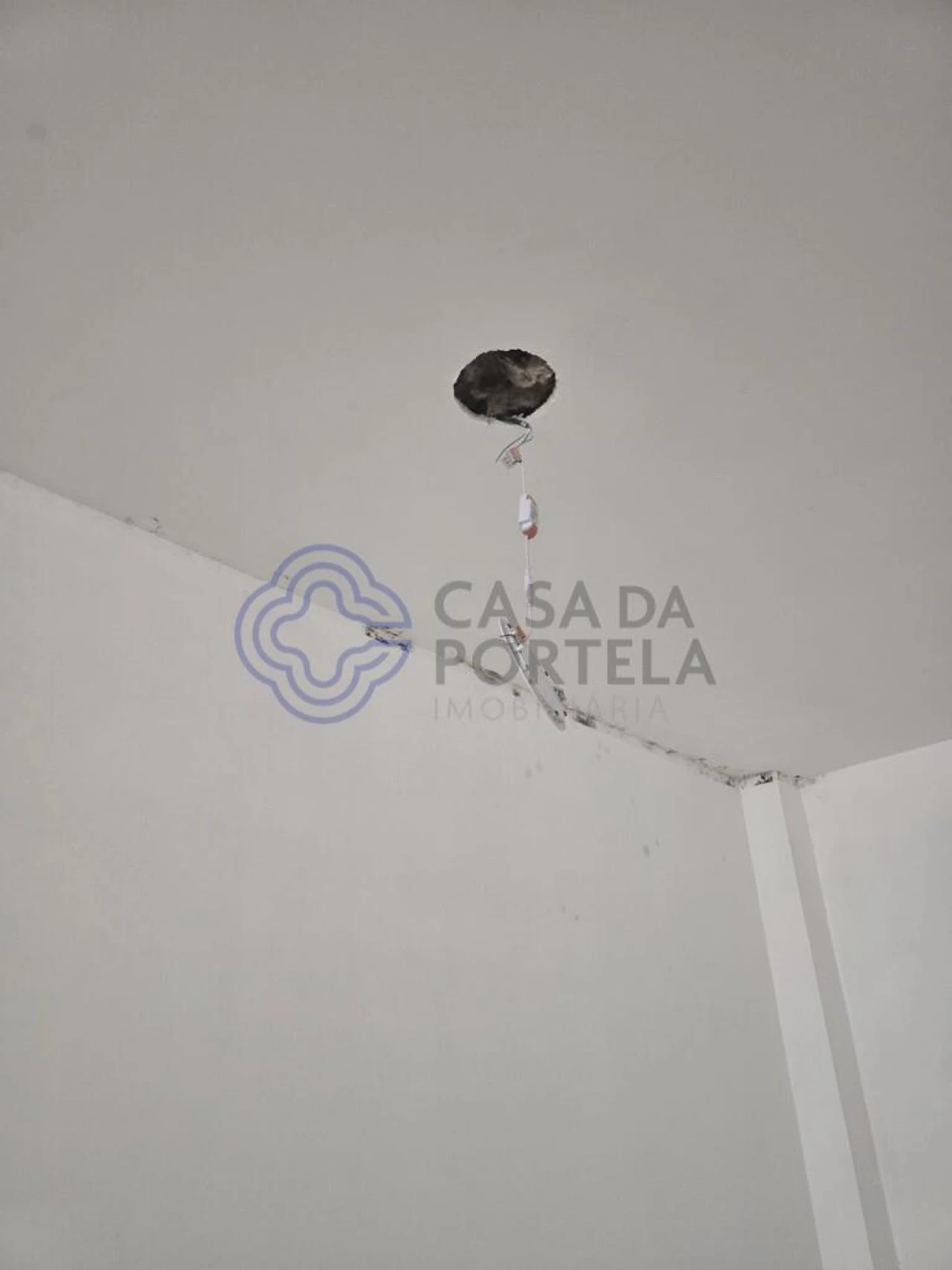 Loja para Arrendamento em Espinho Foto 24