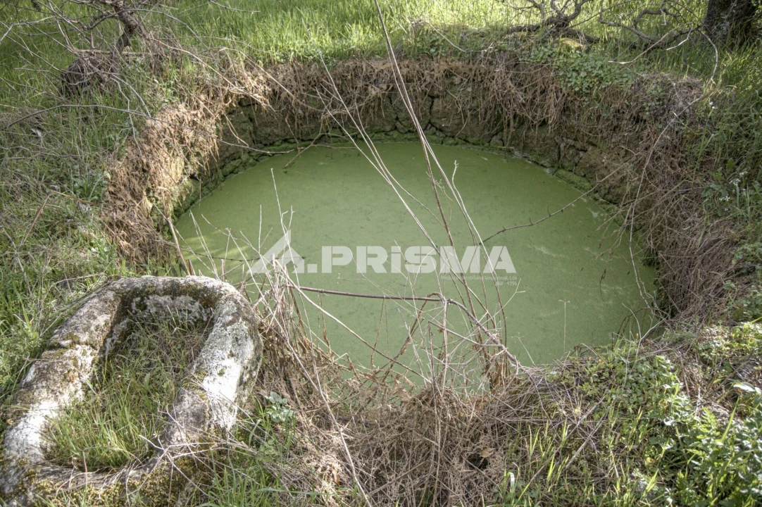 Terreno para Venda em Póvoa de Rio de Moinhos e Cafede Foto 13