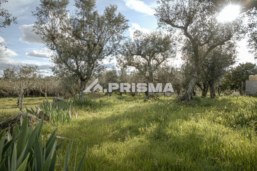 Terreno para Venda em Póvoa de Rio de Moinhos e Cafede Foto 4
