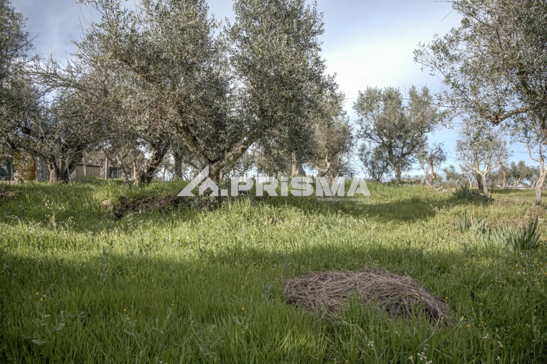 Terreno para Venda em Póvoa de Rio de Moinhos e Cafede Foto 21