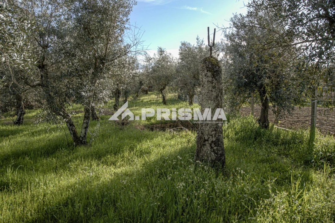Terreno para Venda em Póvoa de Rio de Moinhos e Cafede Foto 11