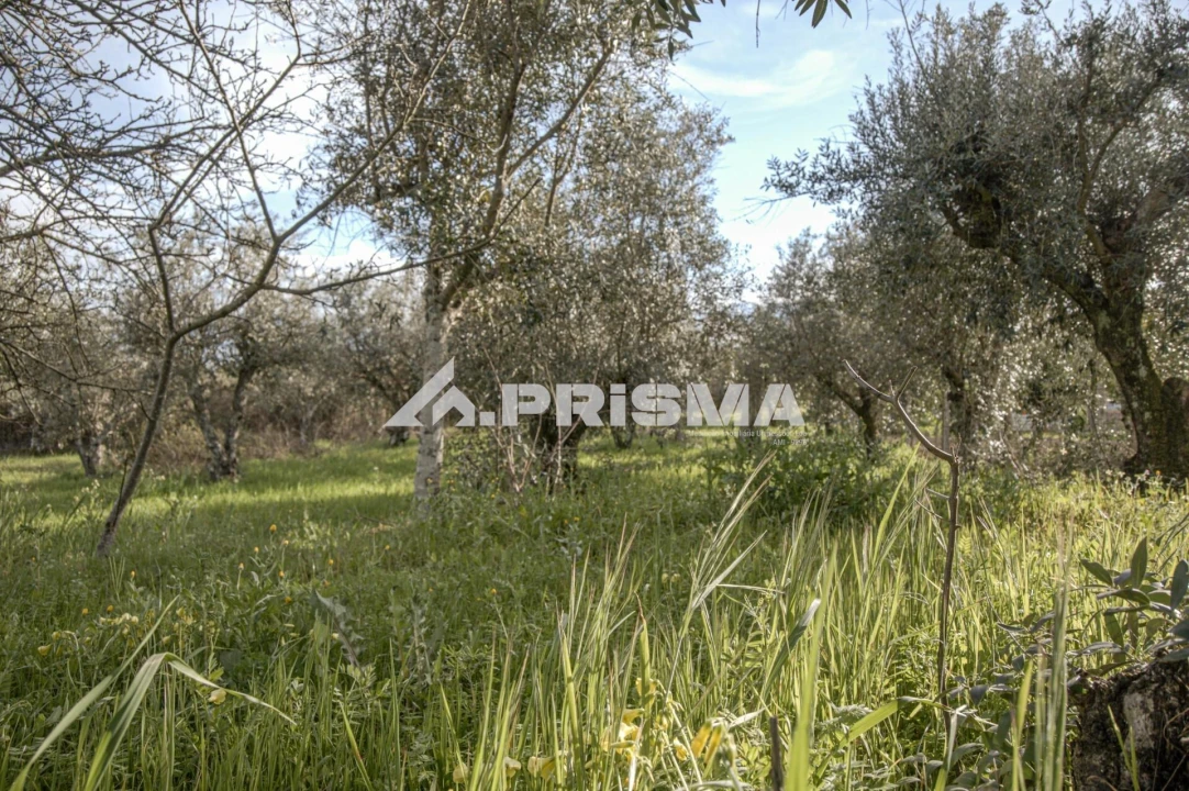 Terreno para Venda em Póvoa de Rio de Moinhos e Cafede Foto 25