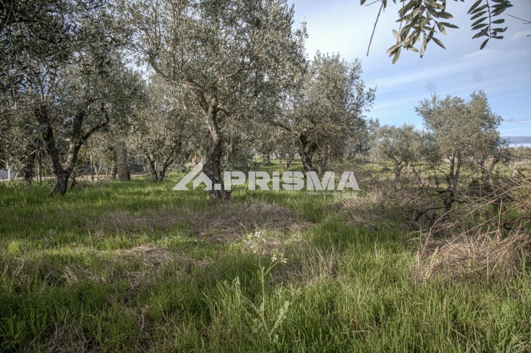 Terreno para Venda em Póvoa de Rio de Moinhos e Cafede Foto 20