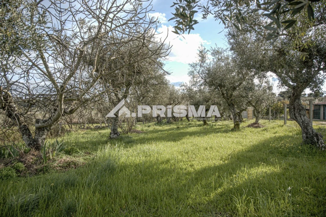 Terreno para Venda em Póvoa de Rio de Moinhos e Cafede Foto 3