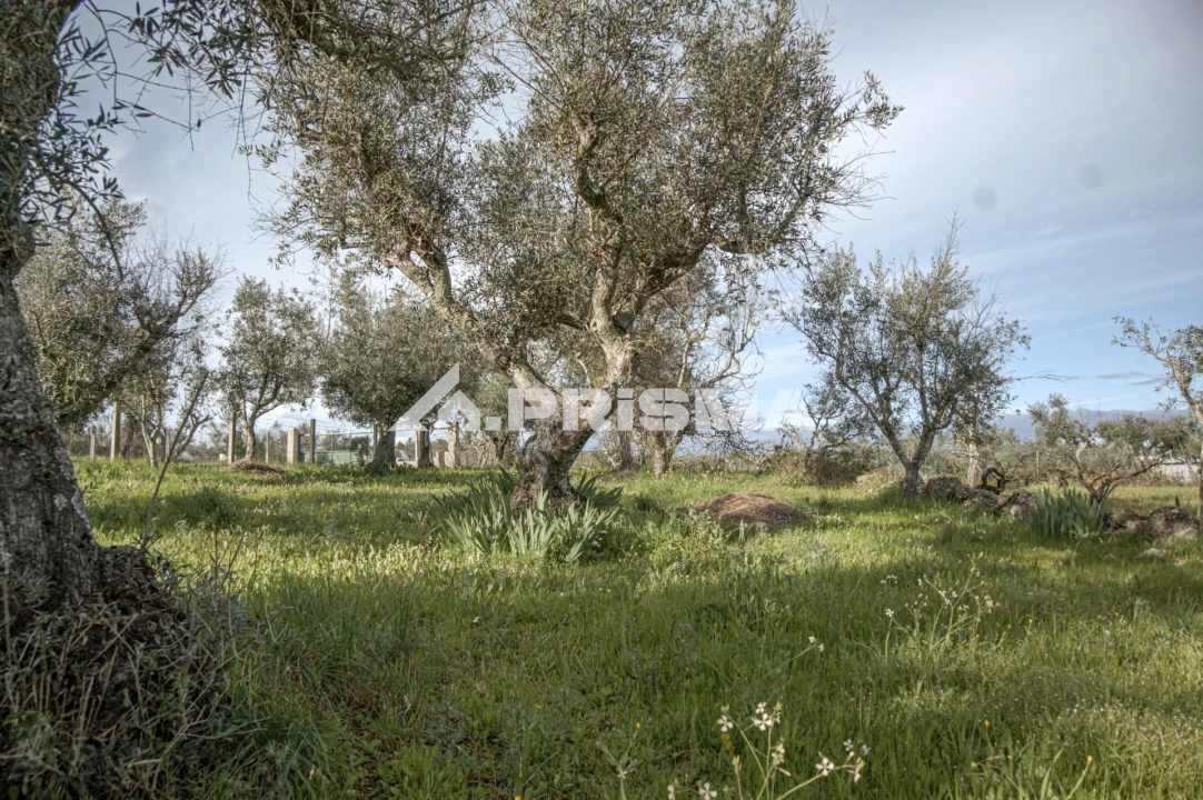 Terreno para Venda em Póvoa de Rio de Moinhos e Cafede Foto 5