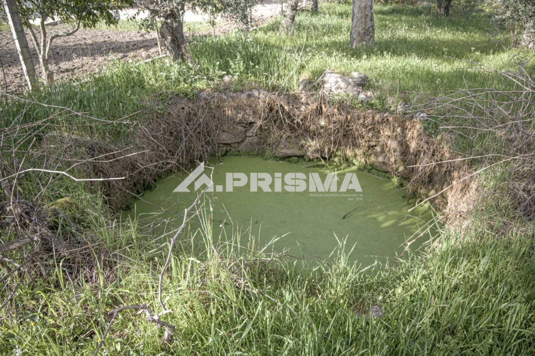 Terreno para Venda em Póvoa de Rio de Moinhos e Cafede Foto 12
