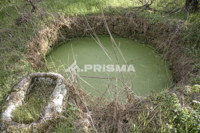 Terreno para Venda em Póvoa de Rio de Moinhos e Cafede Foto 13