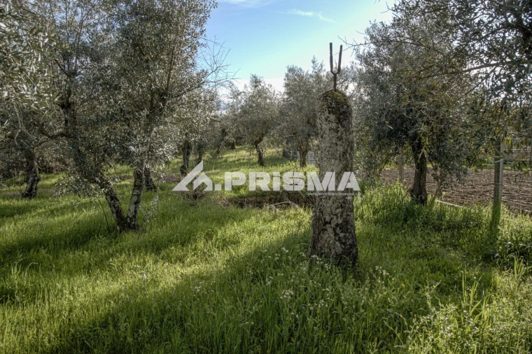 Terreno para Venda em Póvoa de Rio de Moinhos e Cafede Foto 11