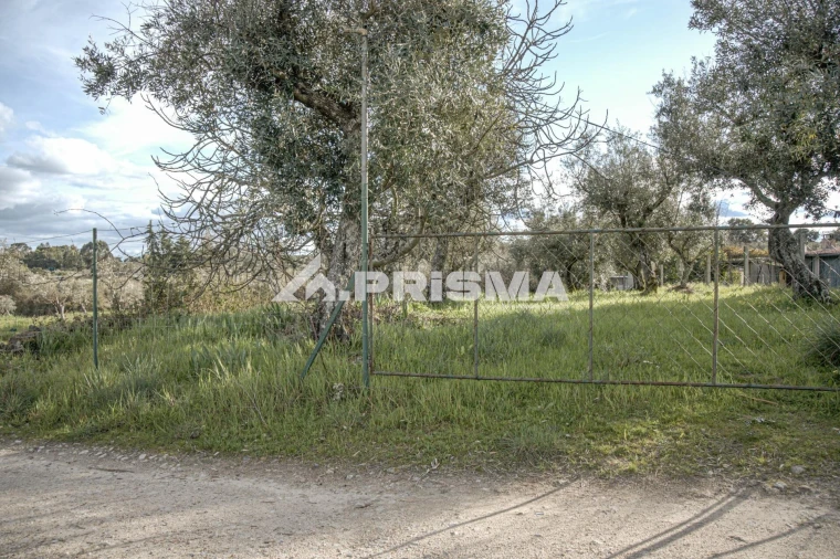 Terreno para Venda em Póvoa de Rio de Moinhos e Cafede Foto 2